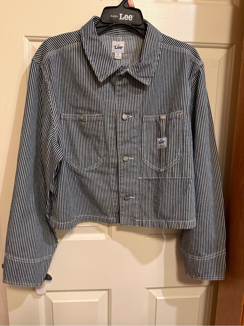 Kacey Lee Musgraves Striped Blue and White Cropped Jean Jacket